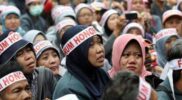 Keputusan Sudah Bulat, Tenaga Honorer Dihapus 2023 Acehzone.com
