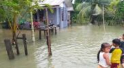 Enam Gampong di Aceh Jaya Terendam Banjir, Warga Diminta Waspada Acehzone.com