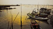 Pukat Kolong Kembali Buat Nelayan Tradisional Singkil Utara Resah Acehzone.com