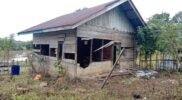 Gajah Liar Kembali Berkeliaran di Sekitar Permukiman Warga Seunagan Timur Nagan Raya Acehzone.com