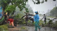 Hujan Deras dan Angin Kencang Tumbangkan Pohon di Jalan Wisata Batu Putih Meulaboh Acehzone.com