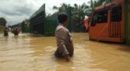 Update Banjir, Warga Mengungsi di Aceh Tamiang Bertambah jadi 23.380 Jiwa Acehzone.com