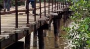 Jembatan Nyaris Roboh, Gampong Naleung Terancam Terisolir Acehzone.com