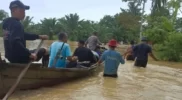 Terseret Arus Banjir, Seorang Warga Aceh Tamiang Meninggal Dunia Acehzone.com