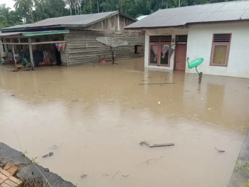 Banjir merendam sejumlah kawasan di Aceh, termasuk di Aceh Selatan, Aceh Tengah, Aceh Timur, Subulussalam, Nagan Raya, dan Aceh Tamiang. Foto: Media Center BPBA