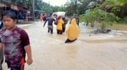 1.819 Jiwa Warga Subulussalam Terdampak Banjir Acehzone.com