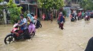 12 Kecamatan di Pidie Terendam Banjir Acehzone.com