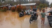 Forum PRB Aceh Minta Pemda Kabupaten Kota Tetapkan Status Bencana Acehzone.com