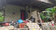 Update Gempa di Jayapura, Pengungsi Bertambah Jadi 2.136 Jiwa Acehzone.com