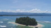 Potensi Wisata Selam Pulau Gosong di Aceh Barat Daya Acehzone.com